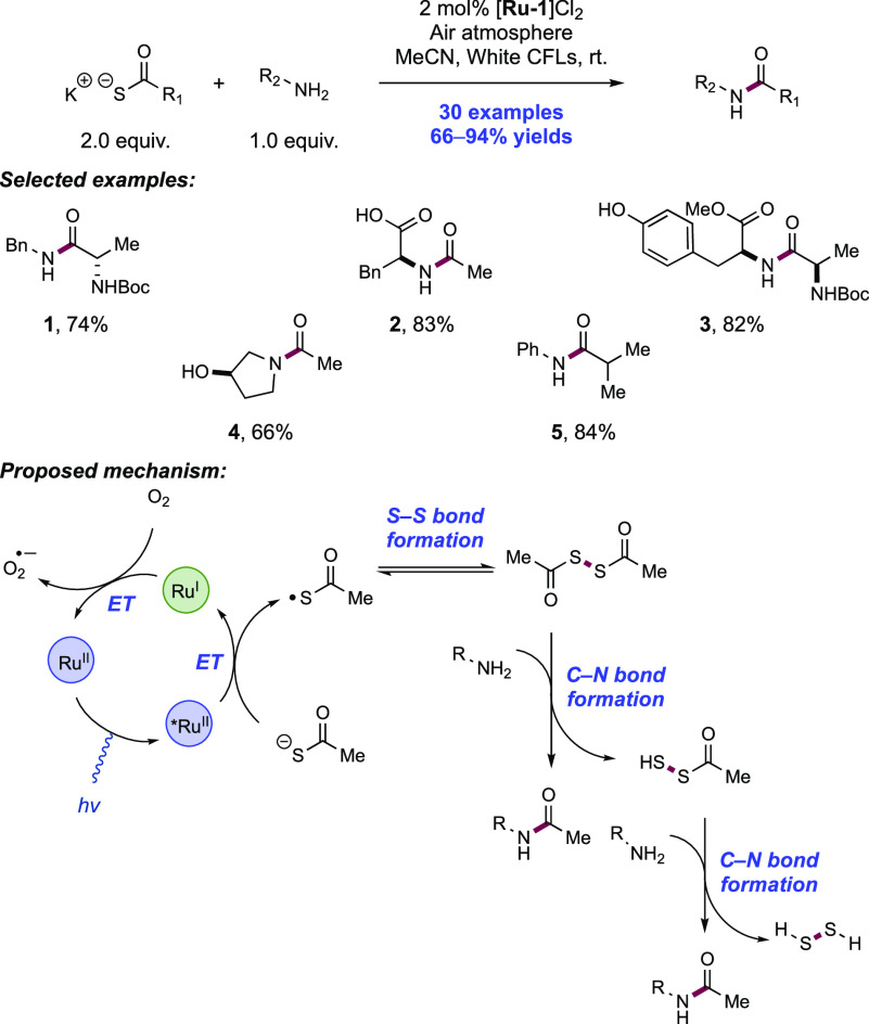 Scheme 259