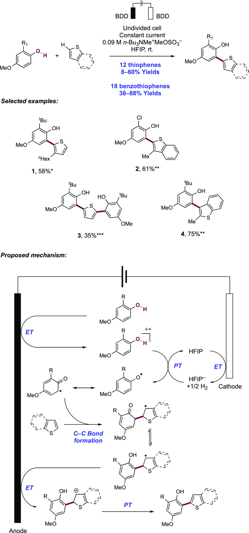 Scheme 191