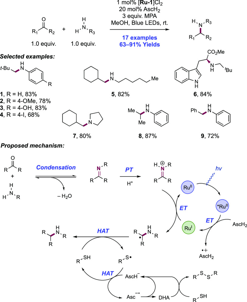 Scheme 331