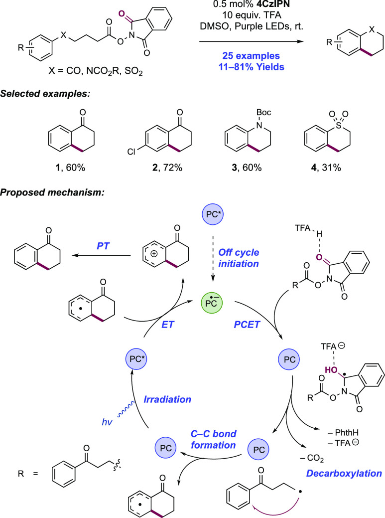 Scheme 341