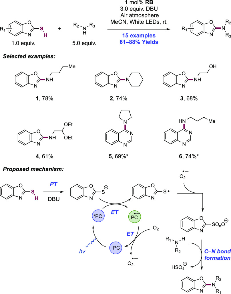 Scheme 262