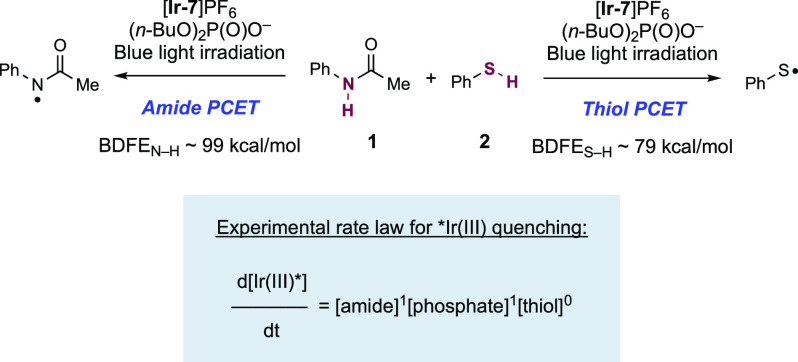 Scheme 3