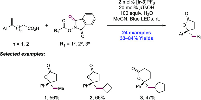 Scheme 335