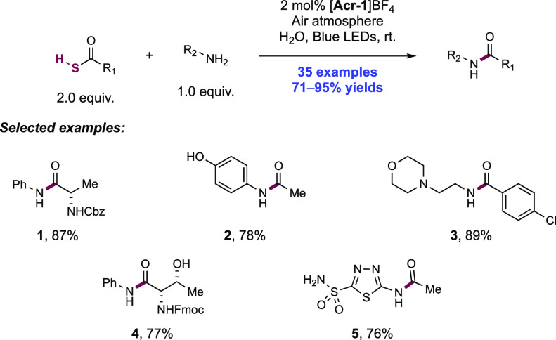 Scheme 261