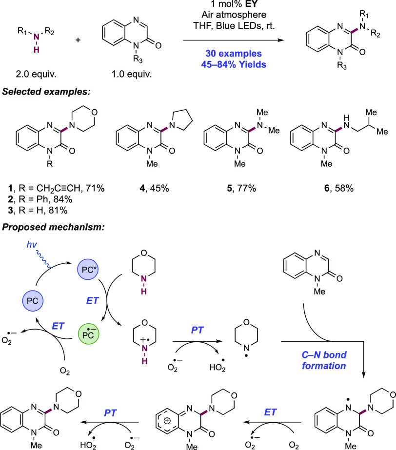 Scheme 81