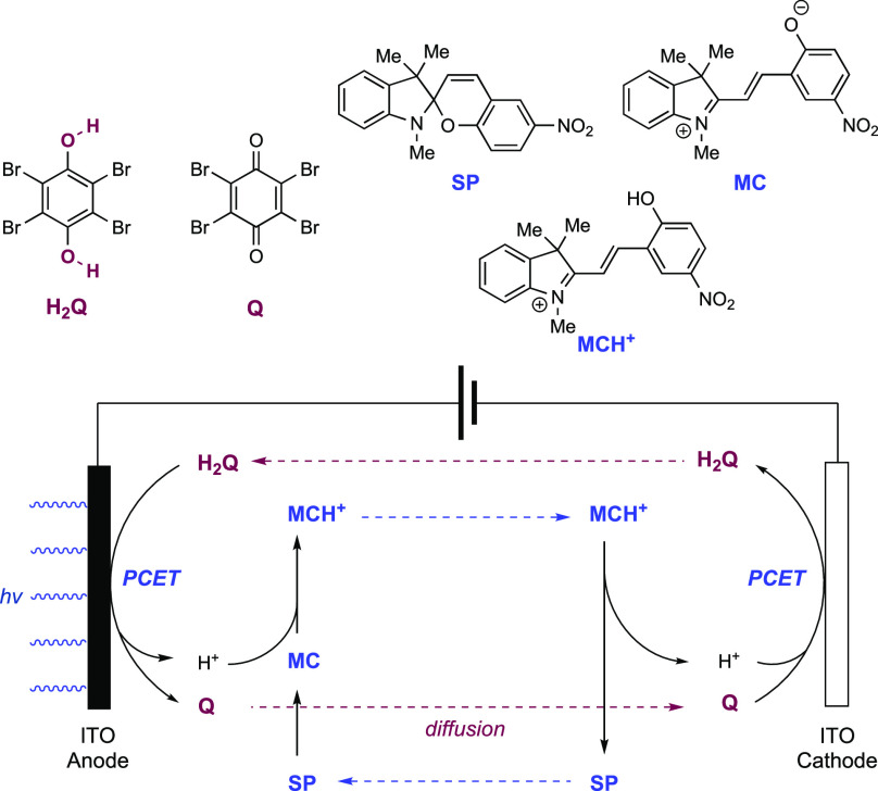 Figure 17