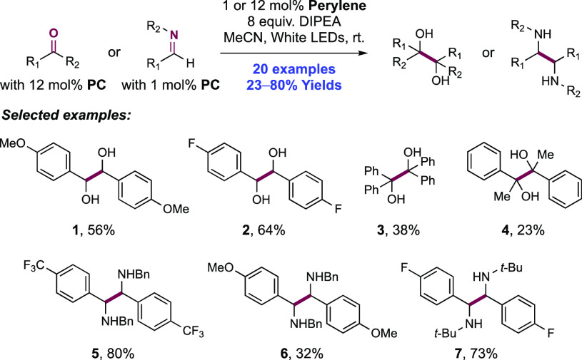 Scheme 309