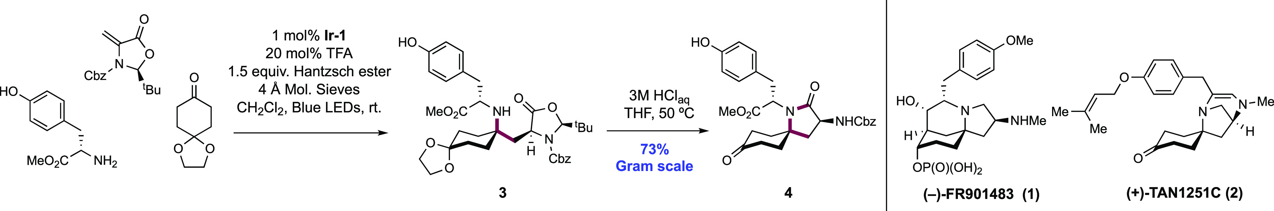 Scheme 303