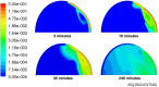 Figure 10.