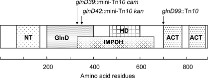 FIG. 2.