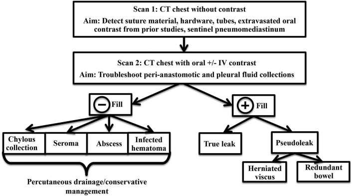 Figure 10.