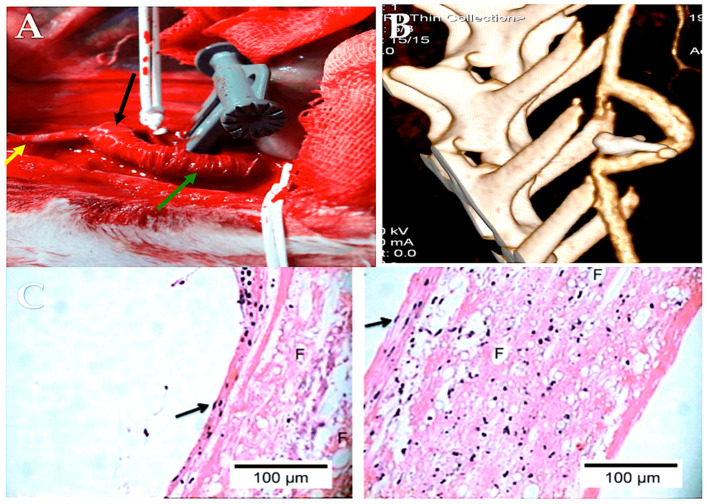 Figure 10