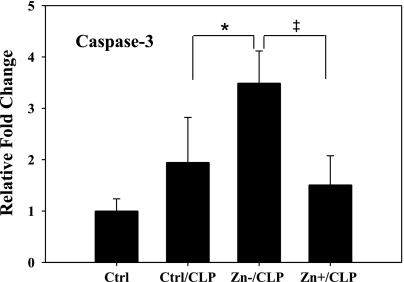 Fig. 9.