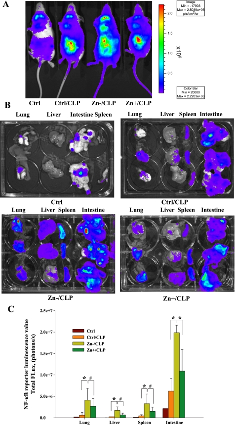 Fig. 2.