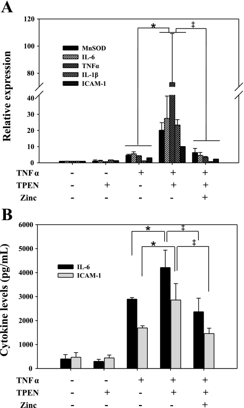 Fig. 8.