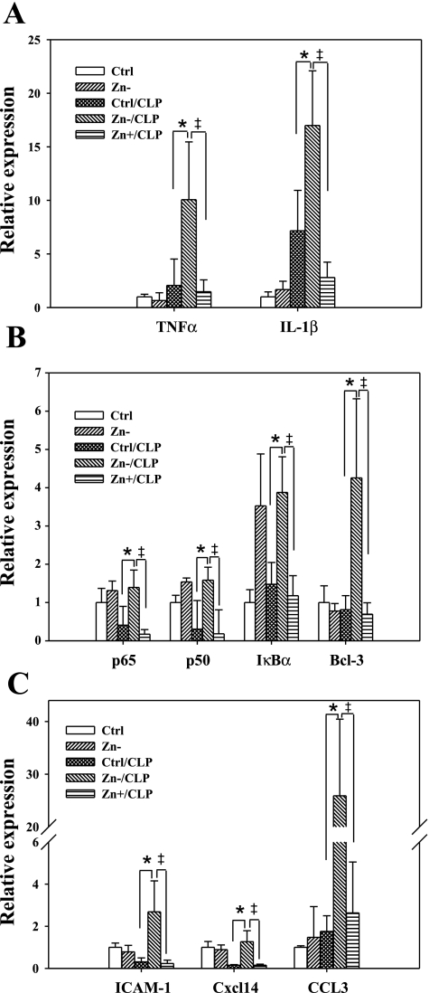 Fig. 4.