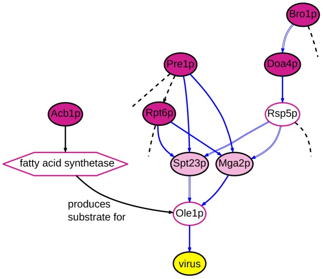 Figure 9