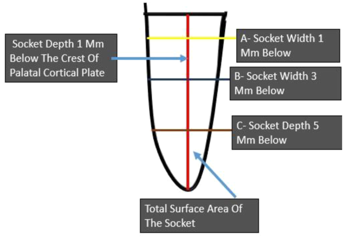 Fig. 1a