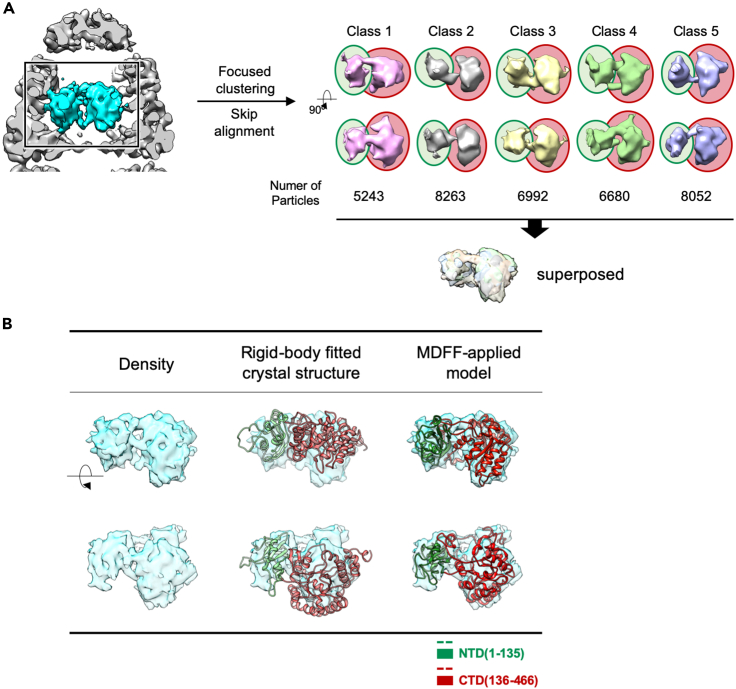 Figure 4