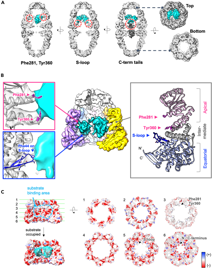 Figure 2