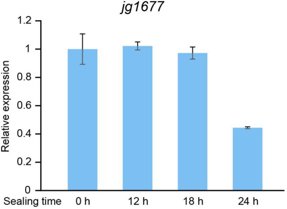 FIGURE 6