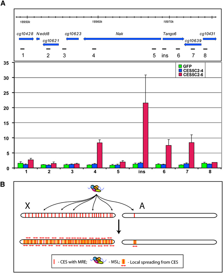 Figure 7