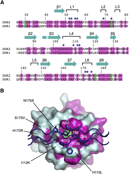 Figure 5