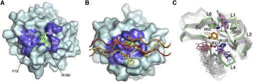 Figure 4