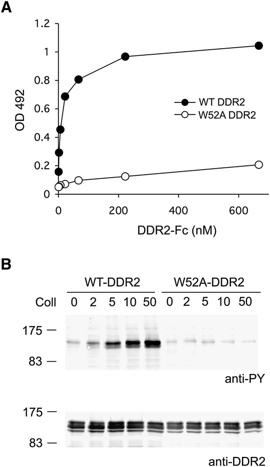 Figure 6