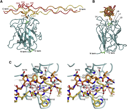 Figure 2