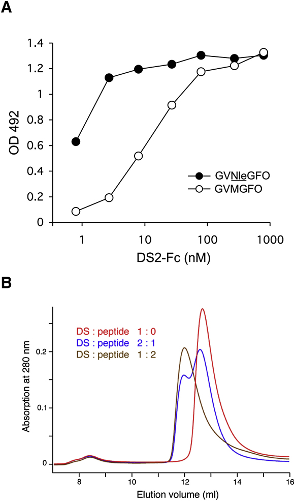 Figure 1