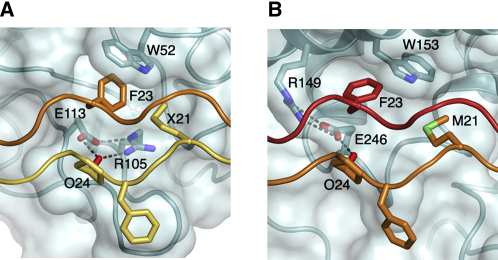 Figure 7