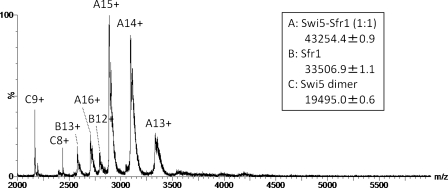 FIGURE 2.