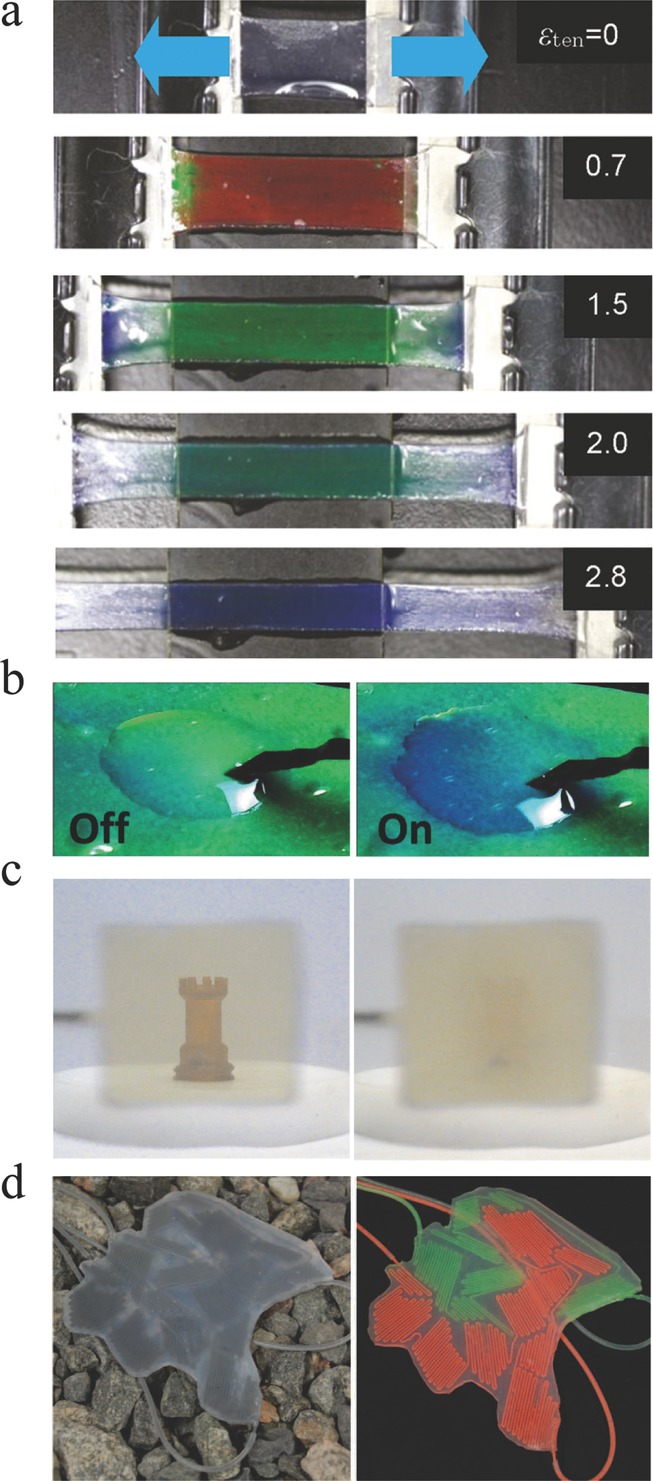 Figure 5