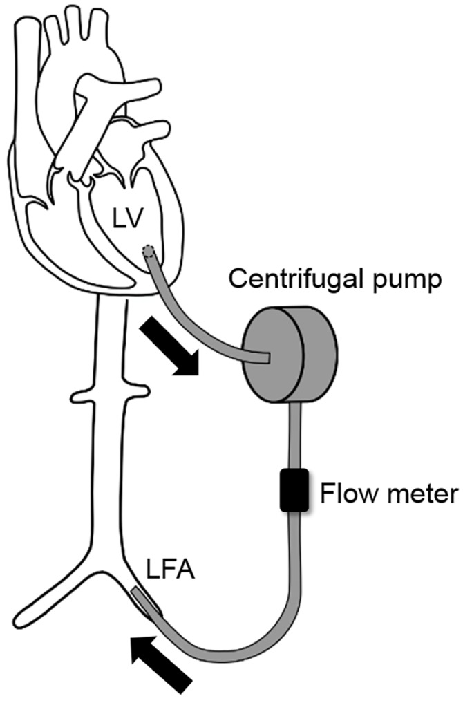 Fig 2