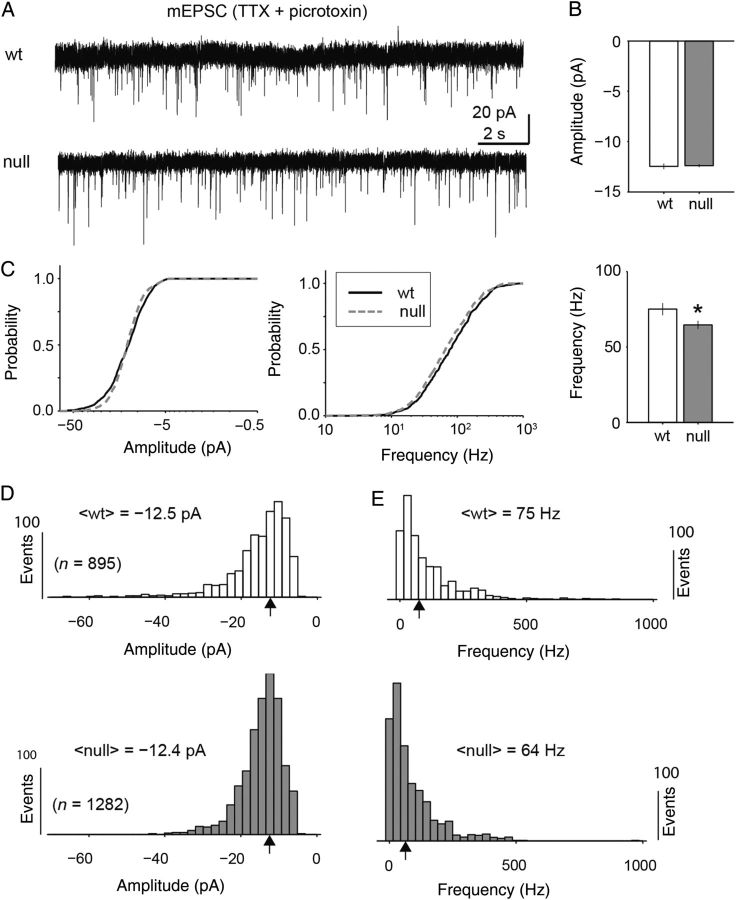 Figure 2.