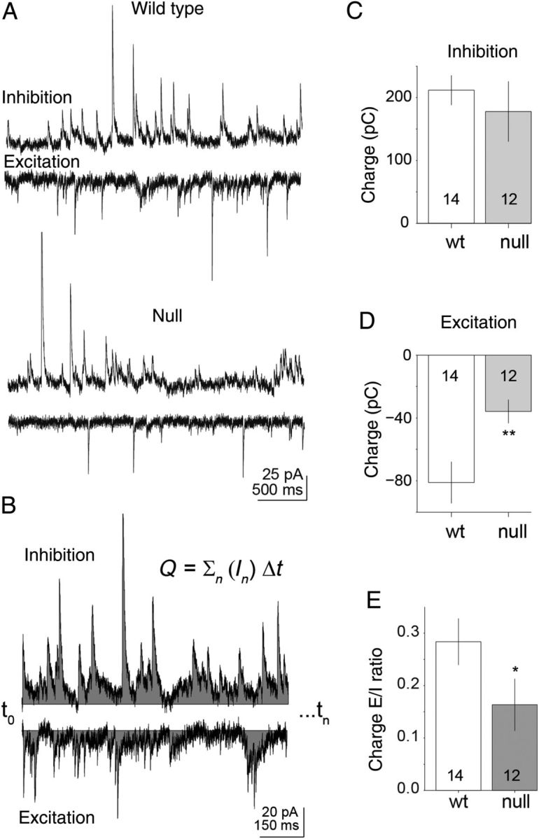 Figure 1.