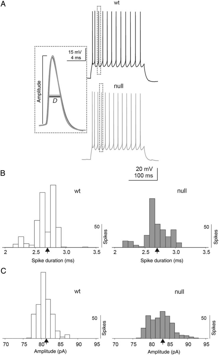 Figure 4.