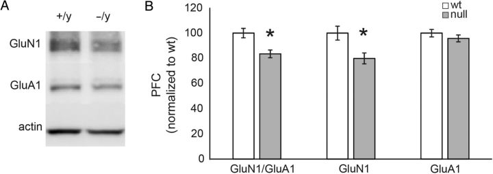 Figure 6.