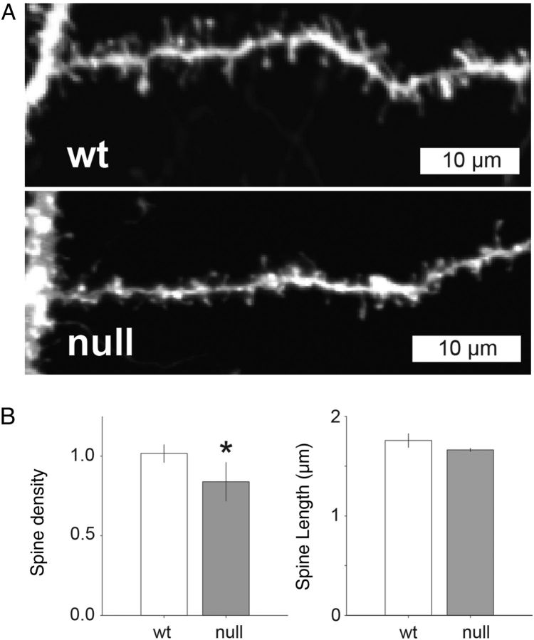 Figure 12.