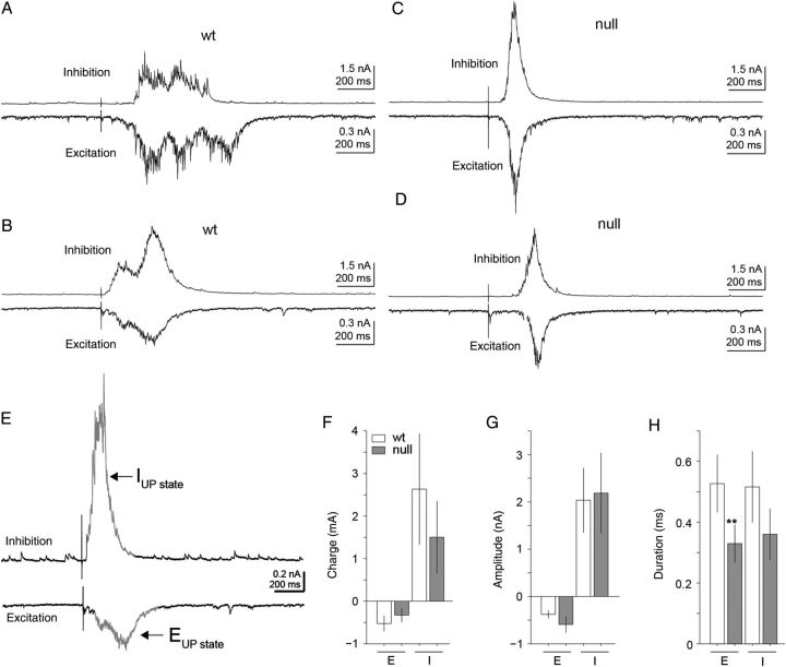 Figure 7.