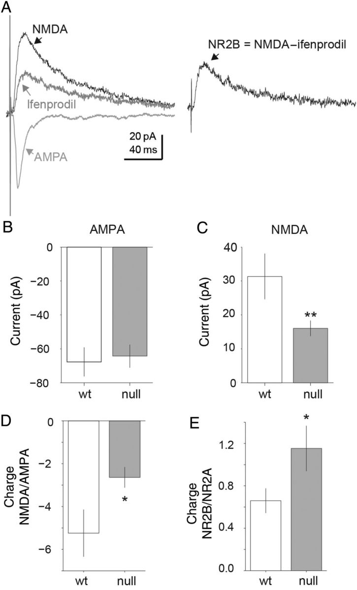 Figure 5.