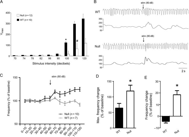 Figure 13.