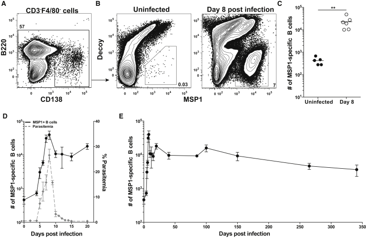 Figure 1