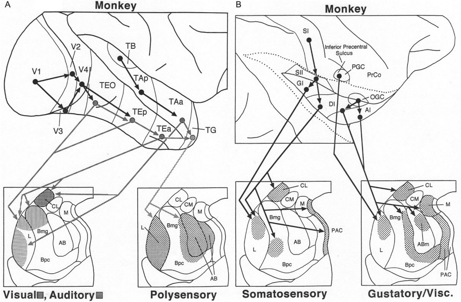 FIG. 7