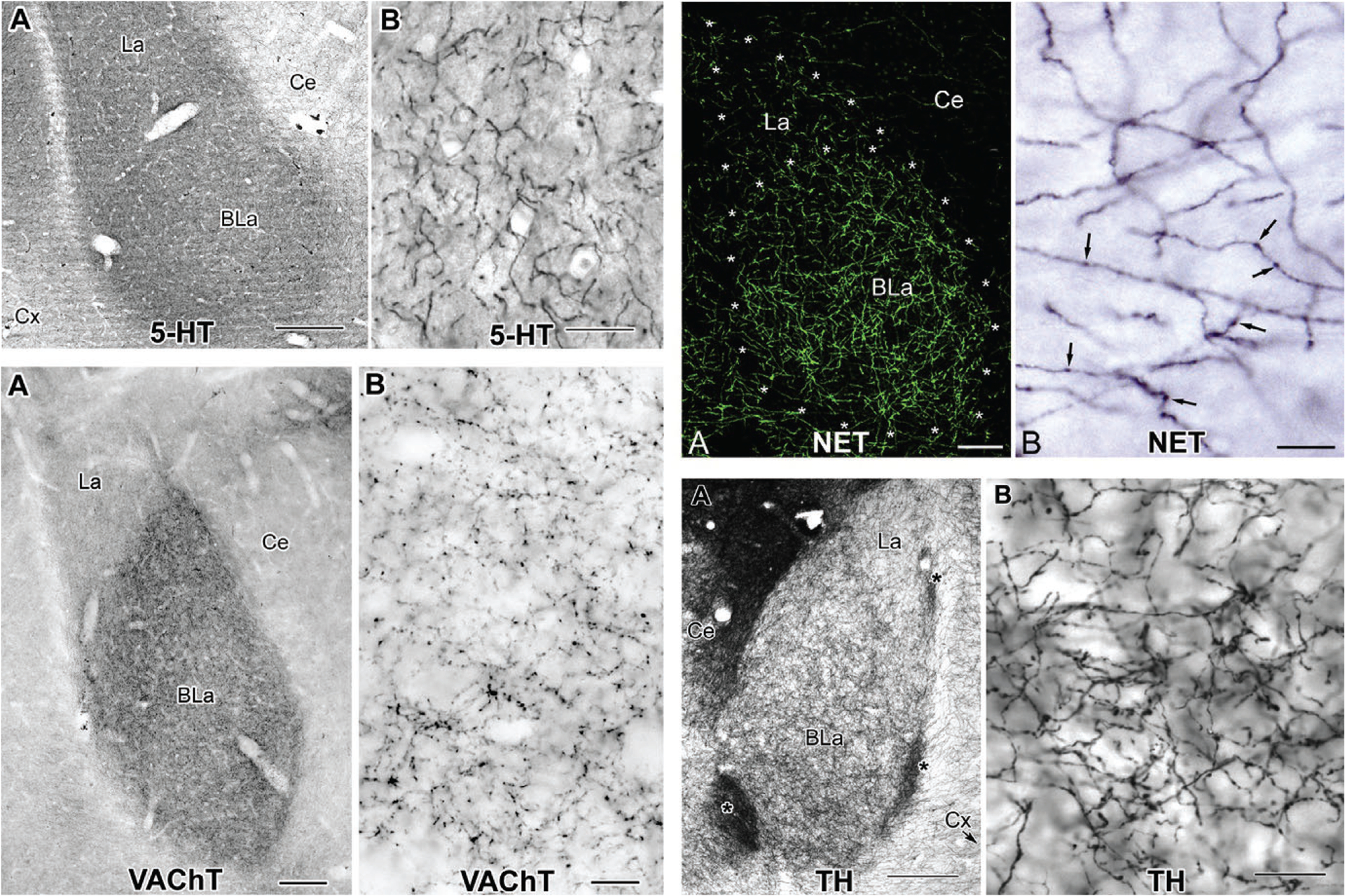 FIG. 12