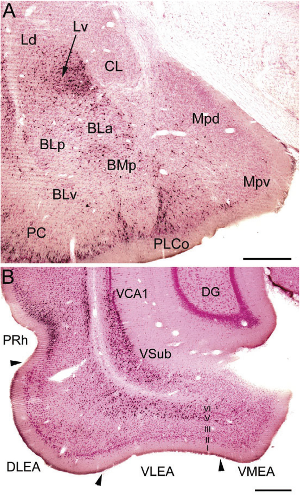 FIG. 8