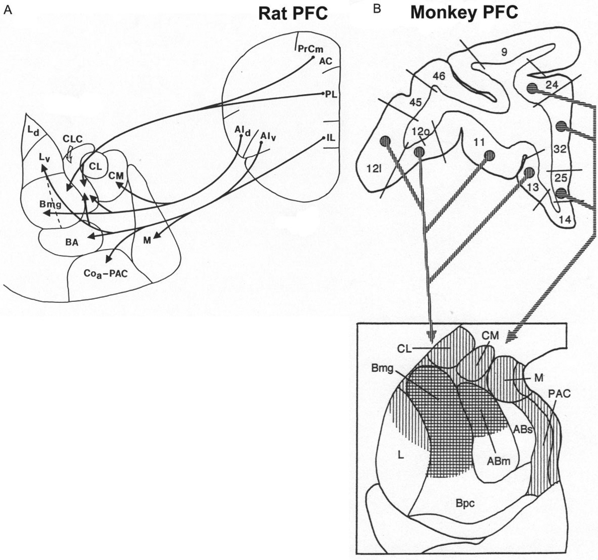 FIG. 10