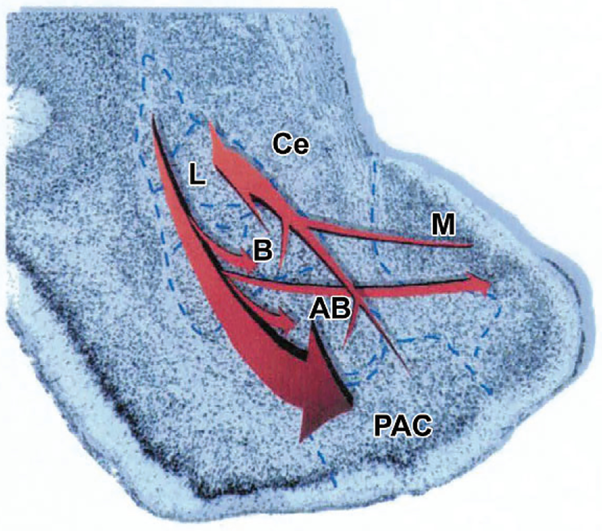 FIG. 11