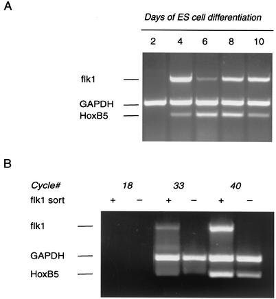 FIG. 6.